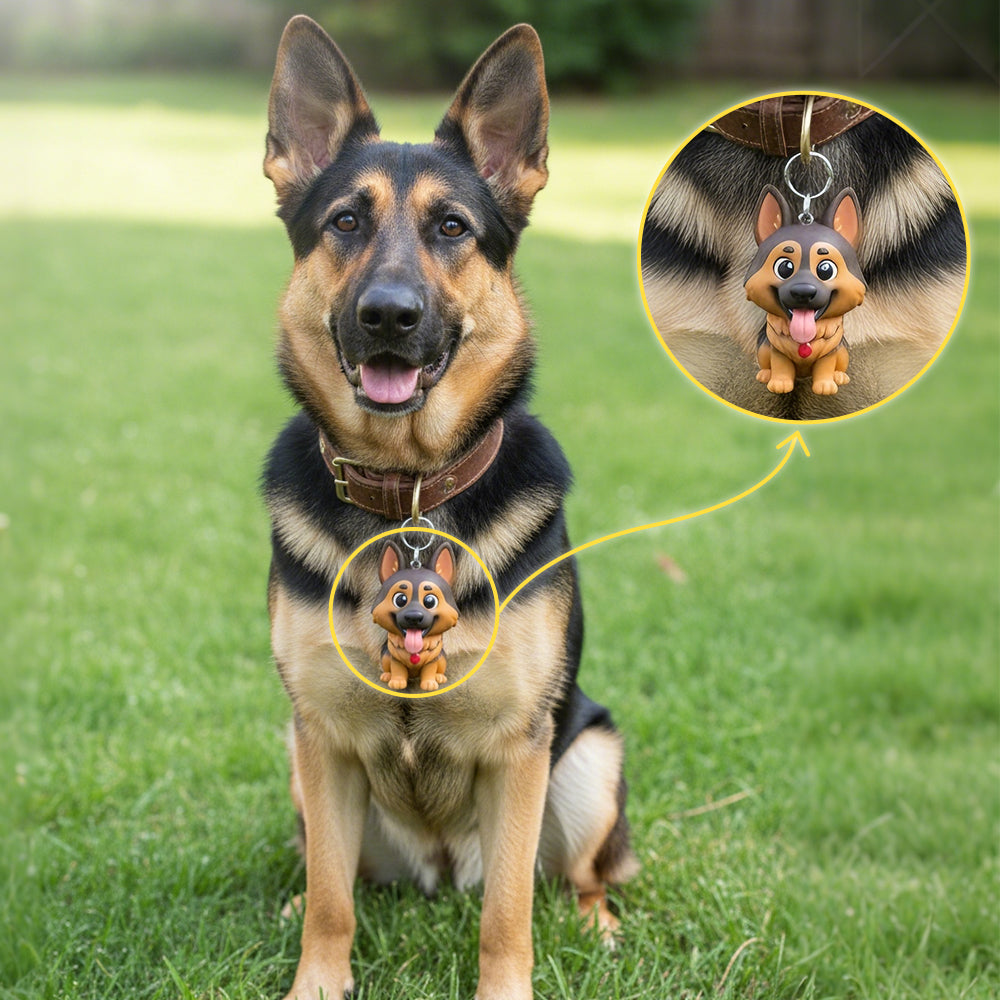 Custom Pet Collar Charms from Photos: Sizing and Durability Tips | PrinYou